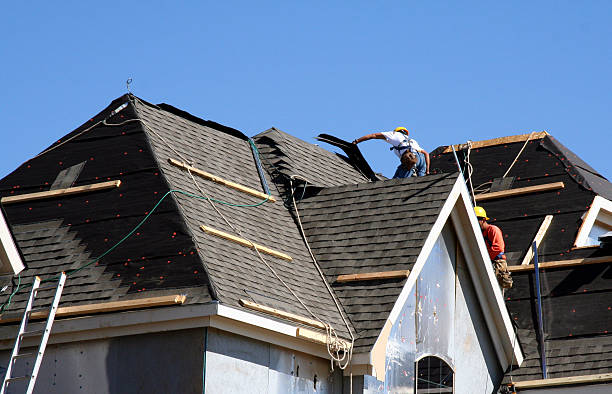 Best Roof Insulation Installation  in Anchor Point, AK