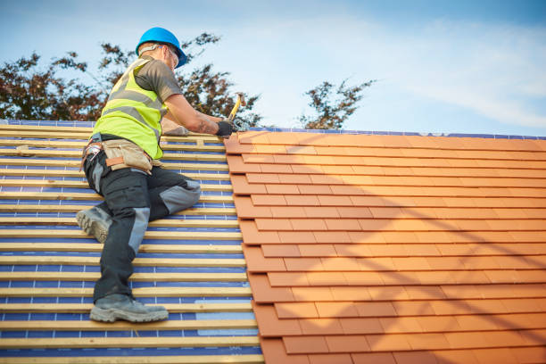 Fast & Reliable Emergency Roof Repairs in Anchor Point, AK